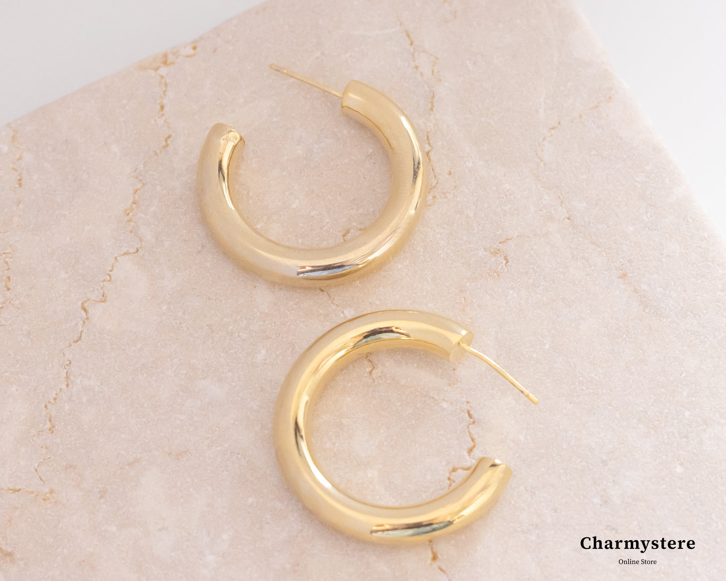 Charmystere Gold Circle Hoop Earrings